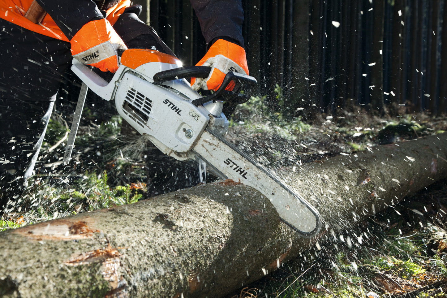 Motosega STIHL MS 201 C-M in azione nel bosco