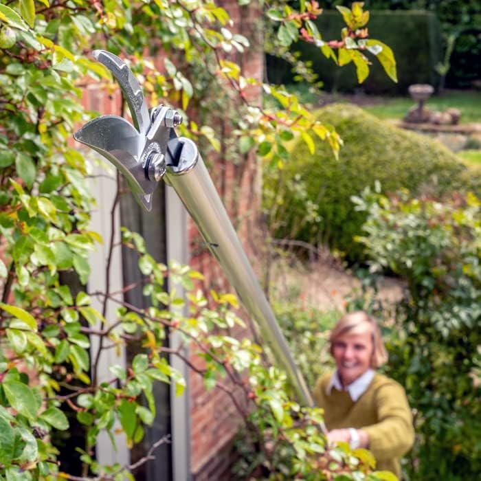 Dettaglio testa potatore telescopico Ars con lama in acciaio per potatura rami alti