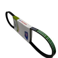 Cinghia trapezoidale