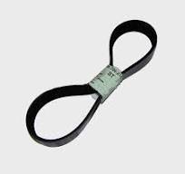 Cinghia trapezoidale