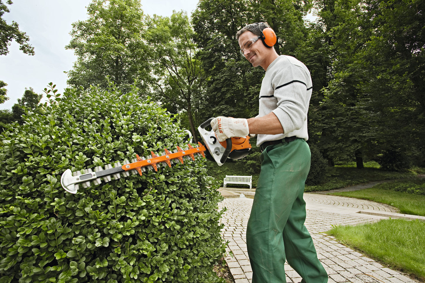 Potatura di arbusti con tagliasiepi a scoppio STIHL HS 56 CE