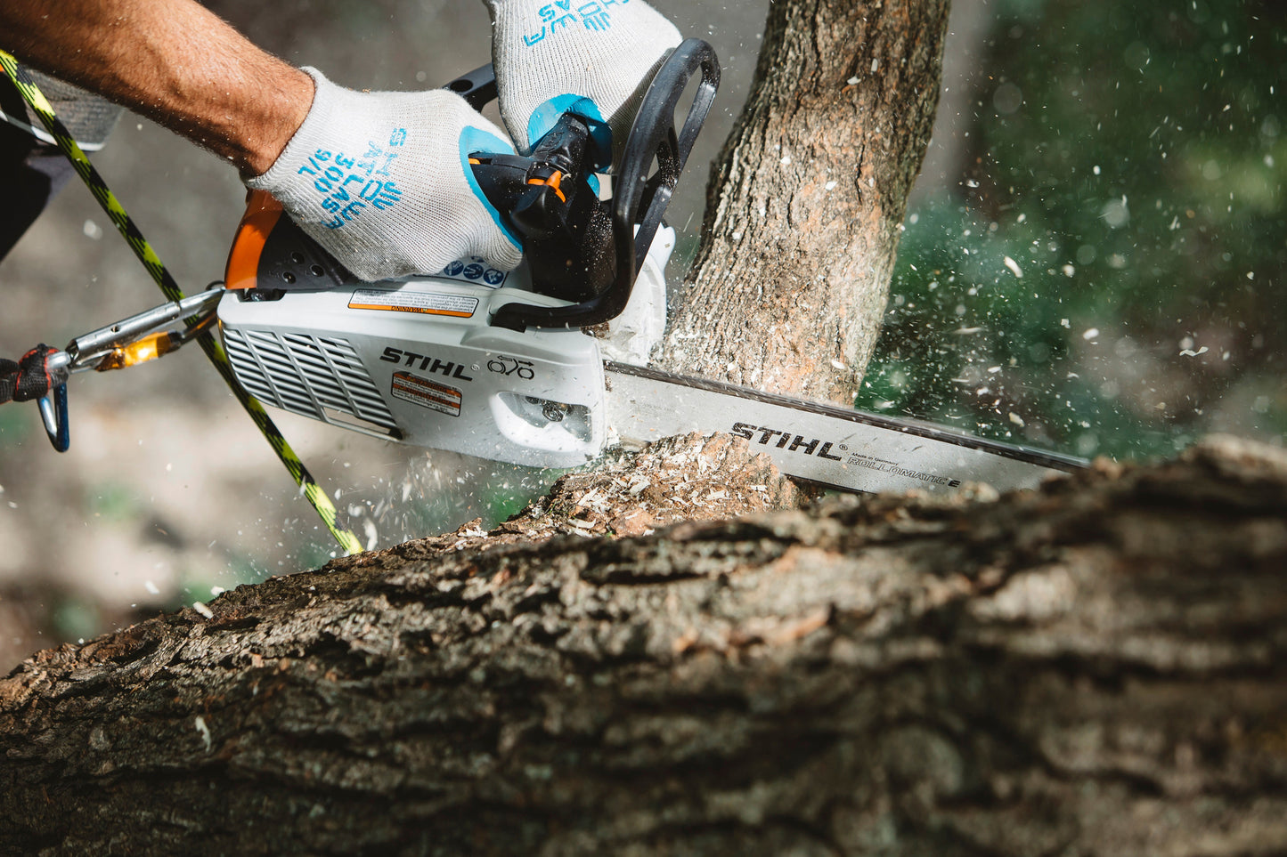 Motosega STIHL MS 194 T in utilizzo su tronco per cura e manutenzione alberi