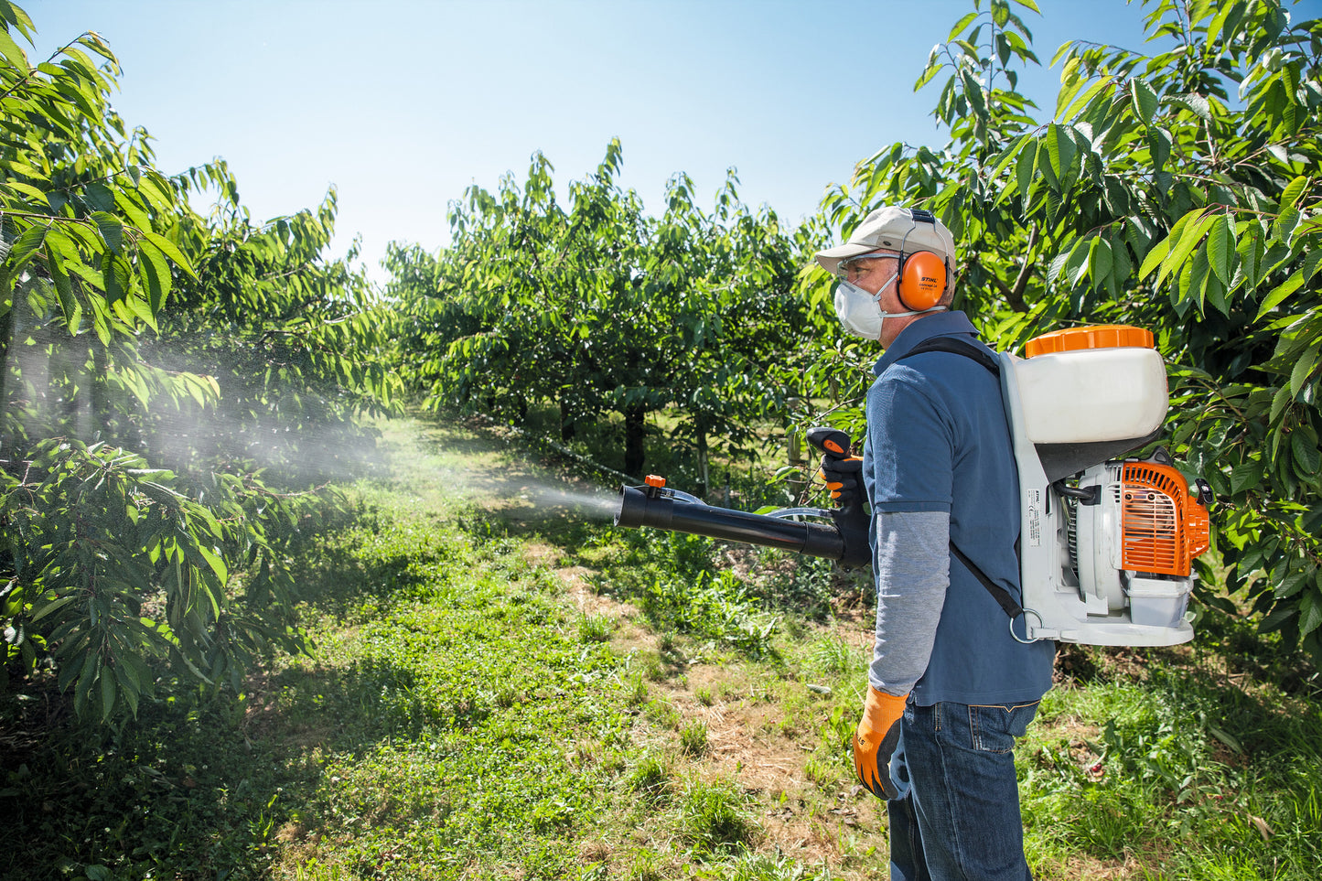 Operatore con atomizzatore a spalla STIHL SR 200 in frutteto durante nebulizzazione