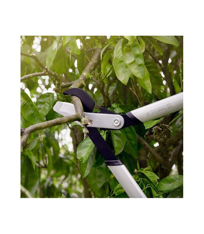 Dettaglio taglio con troncarami bypass Fiskars PowerGear X L LX98 su ramo