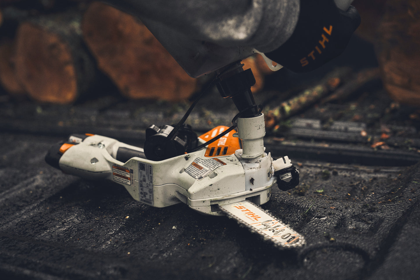 Dettaglio potatore a batteria STIHL GTA 40 durante taglio su ceppo