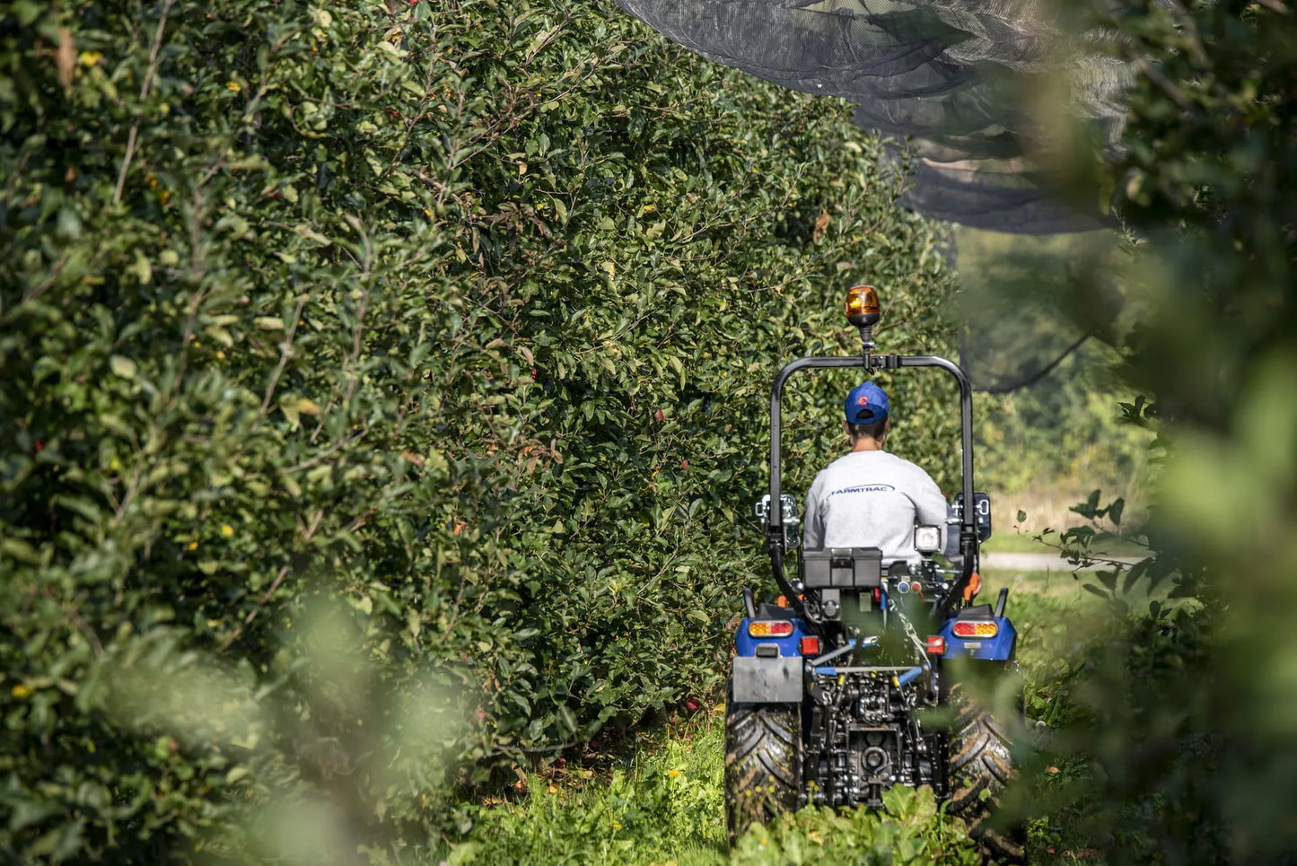 Vista posteriore trattore Farmtrac 20 4RM in frutteto tra i filari