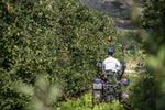 Trattore compatto Farmtrac 4RM vista posteriore con telaio ROPS