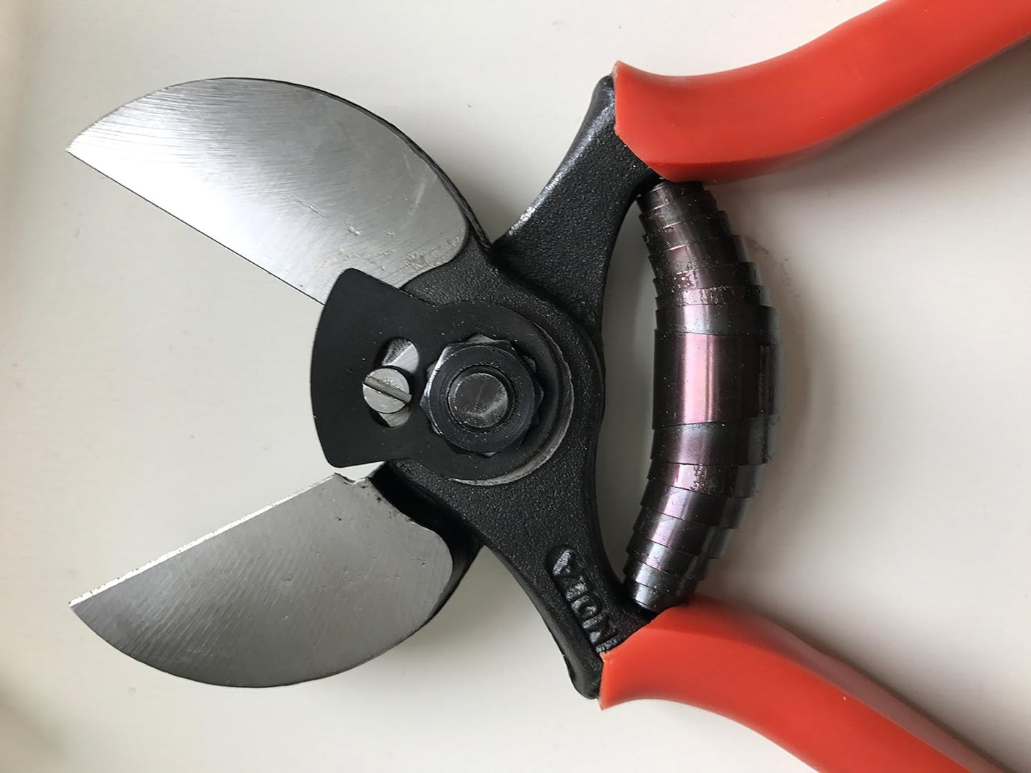 Cesoie da giardino Lisam 21 cm con lame doppio taglio in acciaio inox