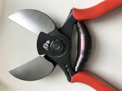 Cesoie da giardino Lisam 21 cm con lame doppio taglio in acciaio inox
