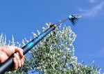 Asta telescopica abbacchiatore Lisam Oliveco estendibile per raccolta olive