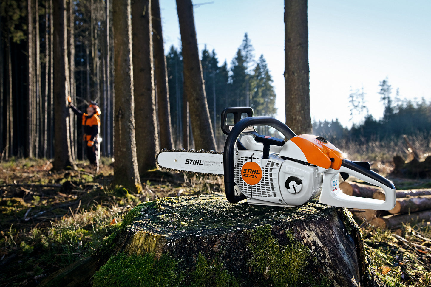 Motosega Stihl MS 201 C-M in ambito forestale per lavori di sramatura