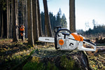 Motosega Stihl MS 201 C-M in ambito forestale per lavori di sramatura
