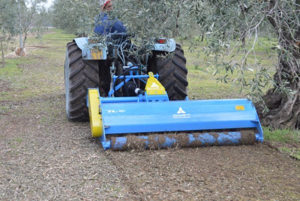 Trinciatrice polivalente Omat TLS al lavoro in campo con attacco a tre punti e spostamento laterale