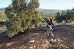 Operatore con abbacchiatore STIHL SPA 140 in oliveto durante la raccolta