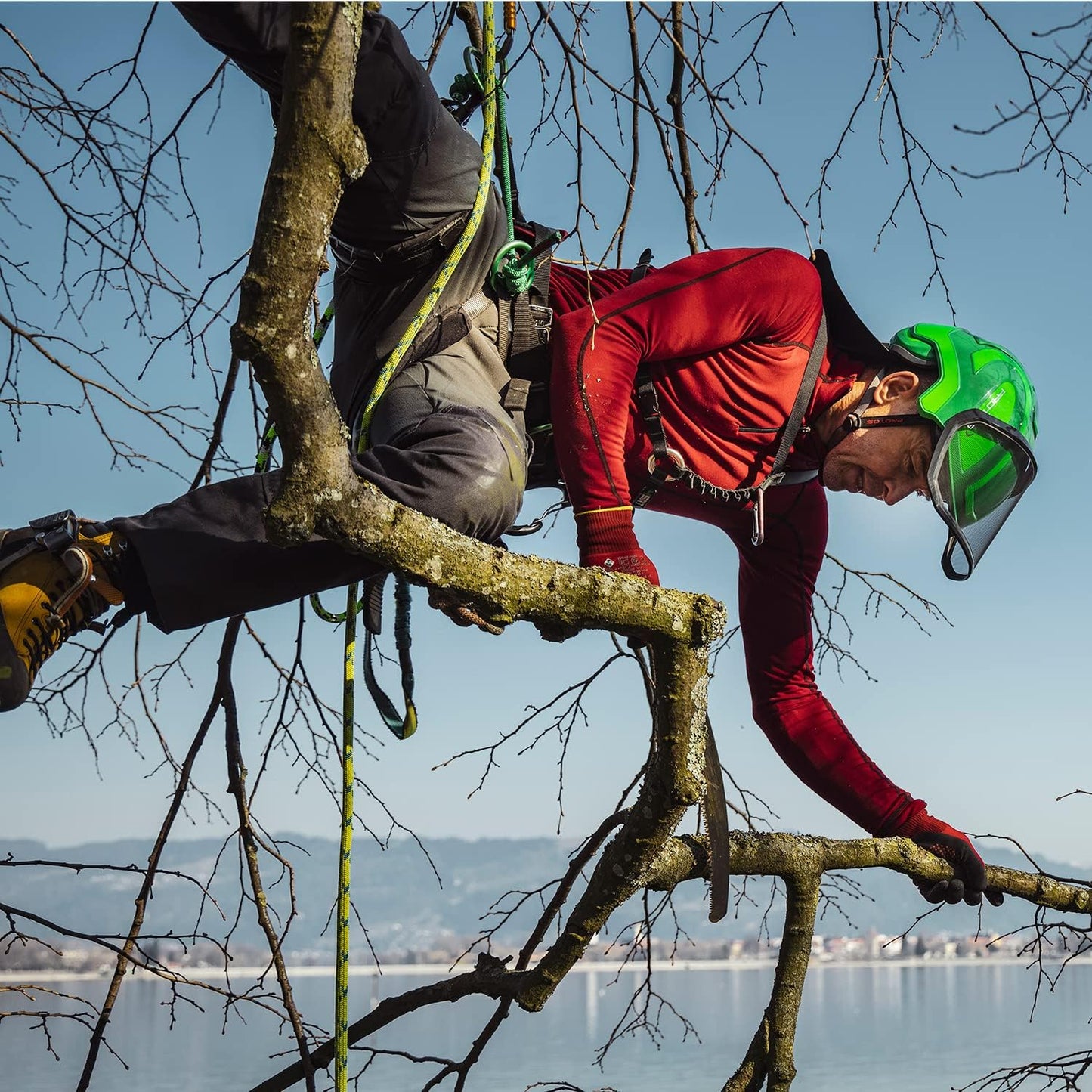 Operatore su albero con casco da arboricoltura con visiera