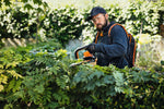Operatore al lavoro con tosasiepi a batteria Stihl HSA 94 R su vegetazione fitta