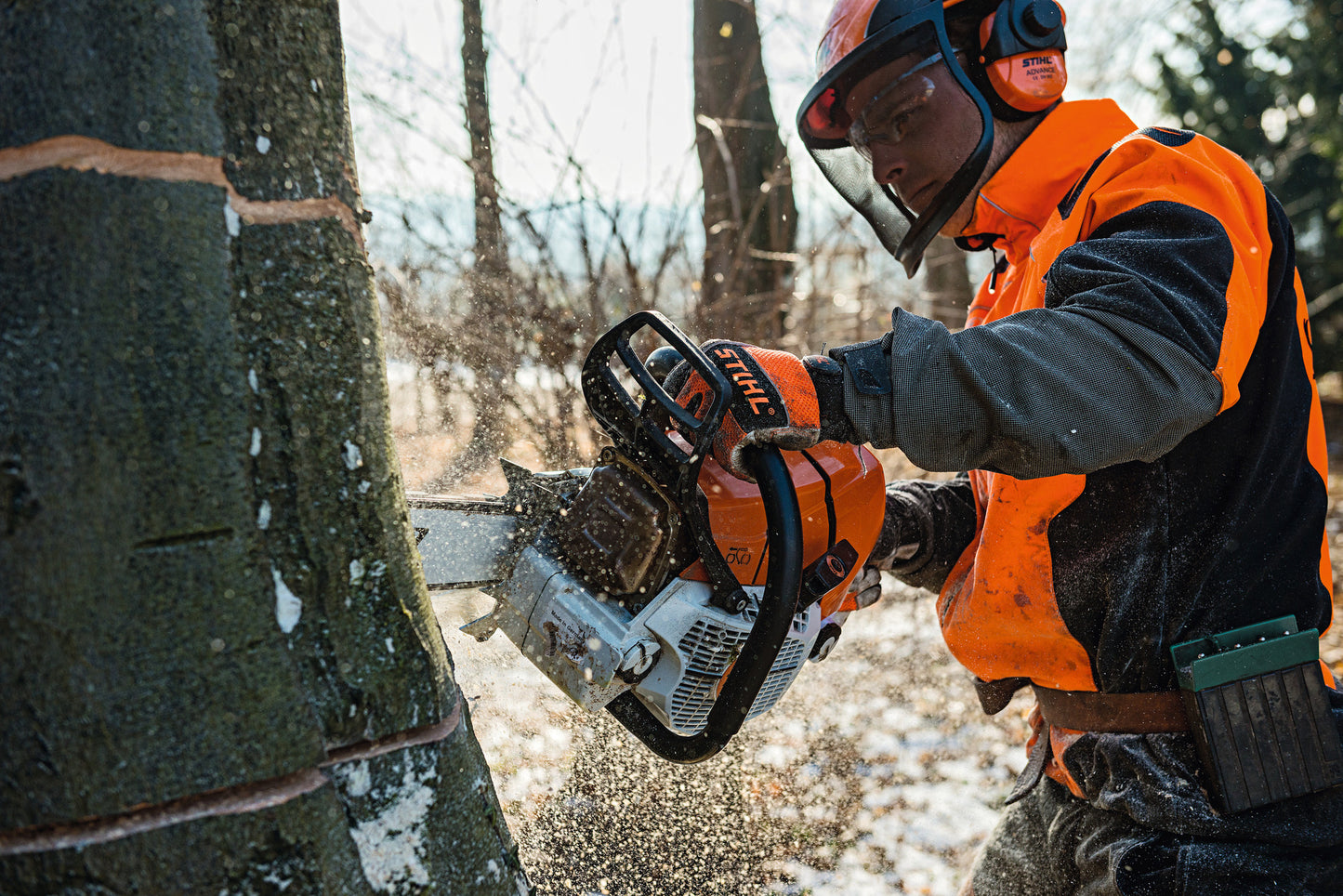 Operatore con motosega Stihl MS 661 C-M durante lavorazione forestale
