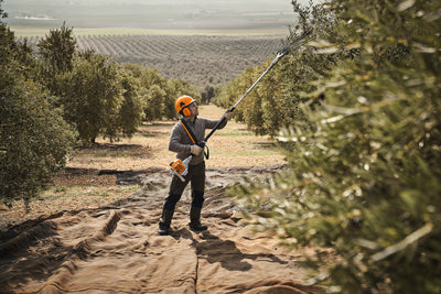 Operatore in oliveto durante la raccolta olive con abbacchiatore a scoppio Stihl SP 92 C-E