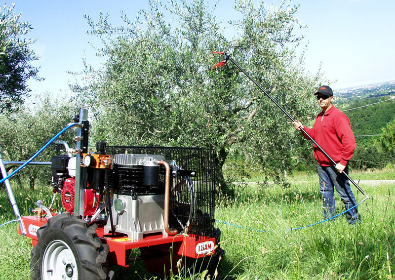 Raccolta olive con abbacchiatore pneumatico Lisam V8 Titanium su asta lunga