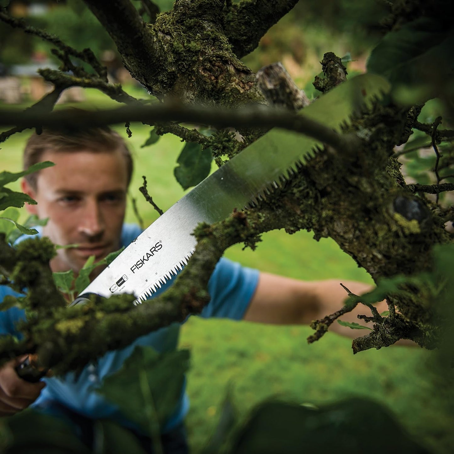 Seghetto Fiskars QuikFit in uso per potatura rami su albero