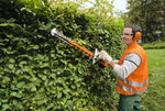 Tagliasiepi STIHL HS 56 CE in uso su siepe, lama a doppia faccia e protezione guida
