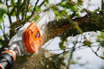 Testa di taglio del potatore a batteria STIHL HTA 135 durante la potatura di un ramo