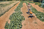 Motozappa STIHL MH 600 al lavoro in campo su terreno coltivato