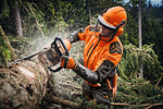 Motosega Stihl MS 462 C-M in utilizzo per taglio in ambito boschivo