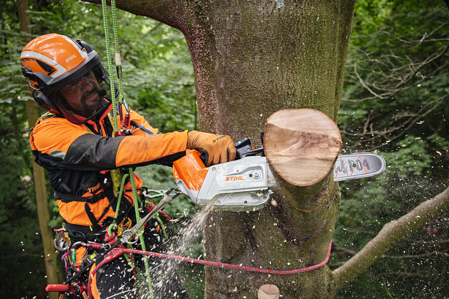 Motosega a batteria Stihl MSA 220 TC-O in utilizzo per cura degli alberi