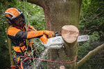 Motosega a batteria Stihl MSA 220 TC-O in utilizzo per cura degli alberi