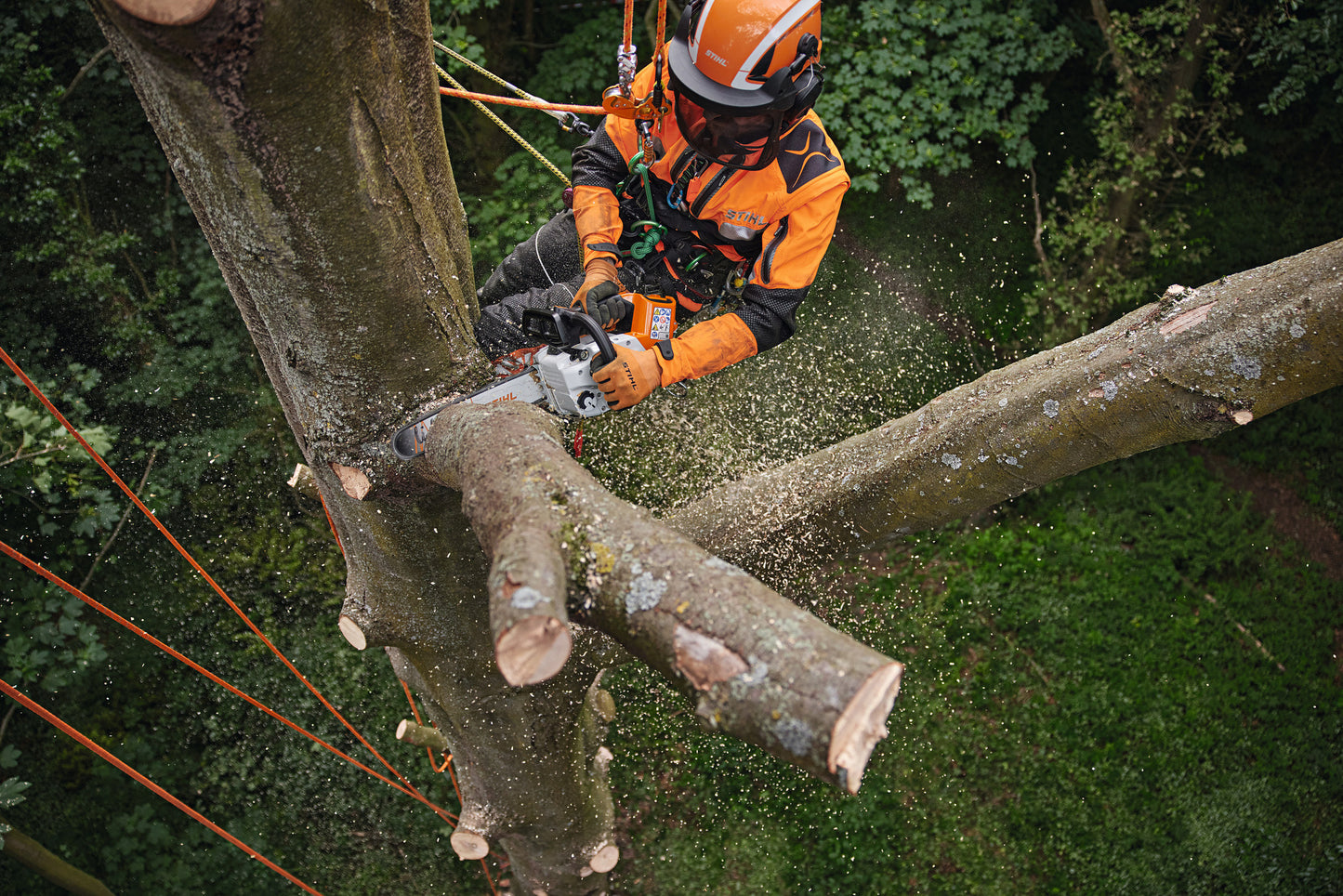 Motosega a batteria Stihl MSA 220 TC-O per potatura e taglio in tree climbing