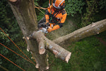 Motosega a batteria Stihl MSA 220 TC-O per potatura e taglio in tree climbing