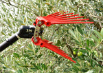 Testa abbacchiatore pneumatico Lisam V8 Titanium tra le fronde dell'ulivo