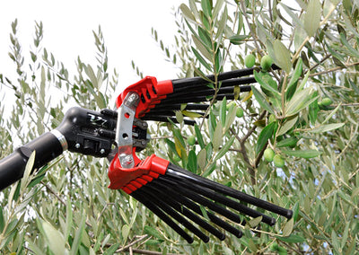 Testa rastrello abbacchiatore pneumatico Lisam serie V Turbo in oliveto