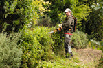 Tosasiepi Stihl HSA 94 R utilizzato per rifinitura siepi in ambito professionale