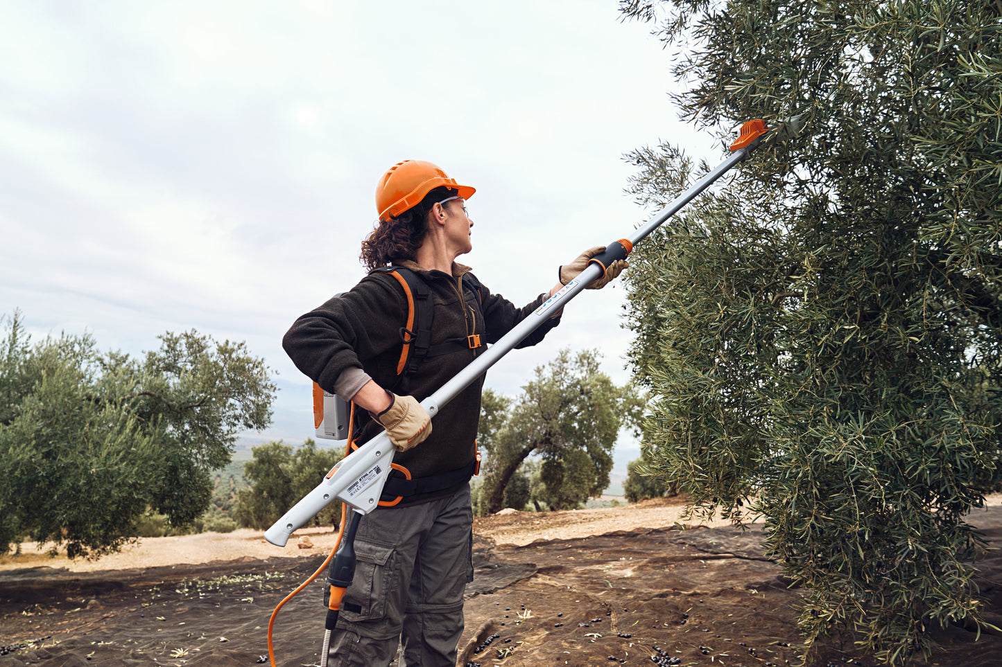 Utilizzo abbacchiatore STIHL SPA 140 per raccolta olive con asta telescopica